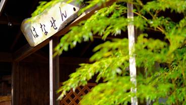 施設の入り口 / 12