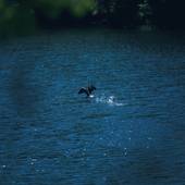 TOBE オーベルジュリゾート（愛媛県 シティホテル） / 5