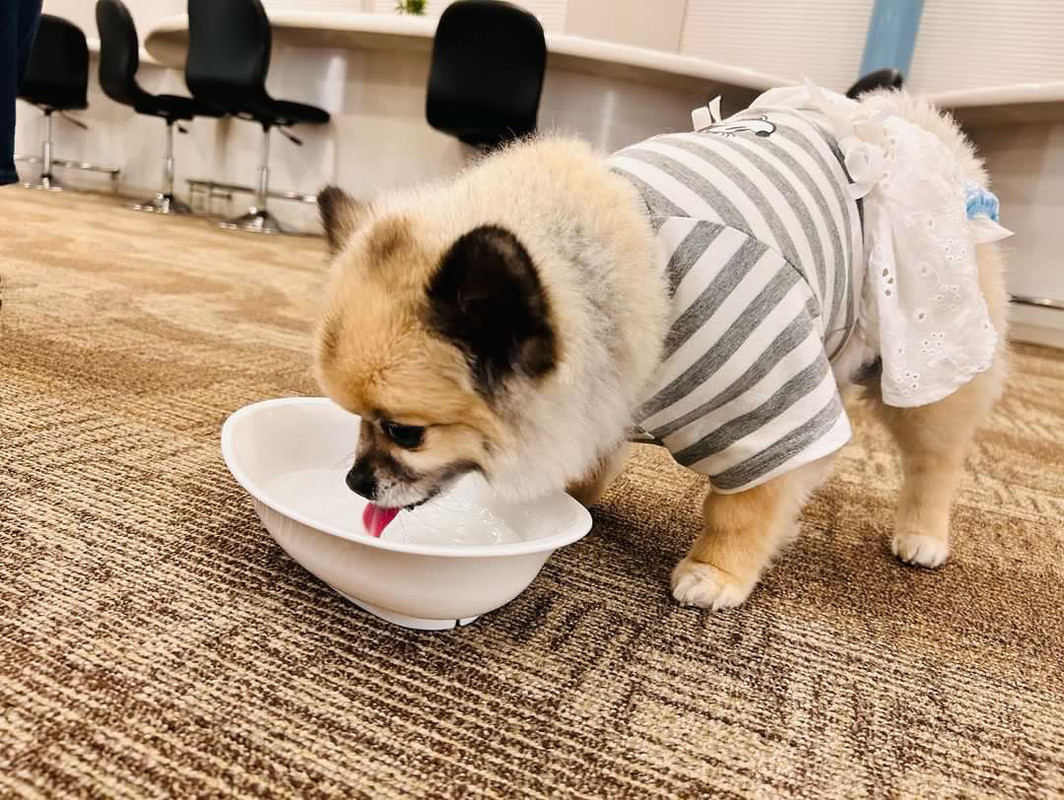 k_chirashi_さんの写真 / 3