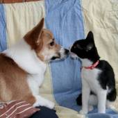 おたるないバックパッカーズホステル杜の樹（北海道 ゲストハウス・ホステル・ドミトリー） / 2