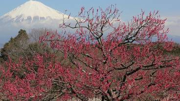 施設の敷地 / 27