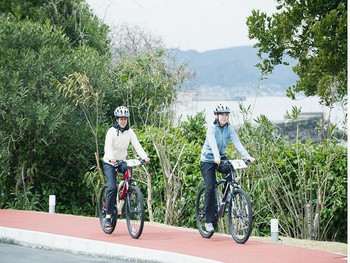 南房総の自然に癒される3434858