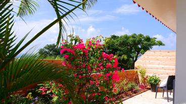 バルコニー / 27