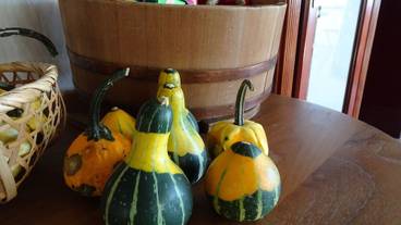 内装の詳細 / 39