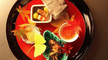 金乃竹 仙石原（キンノタケセンゴクハラ） / 1