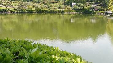 観光スポット / 6