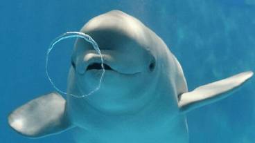 観光スポット / 20