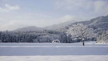 施設からの眺望 / 33