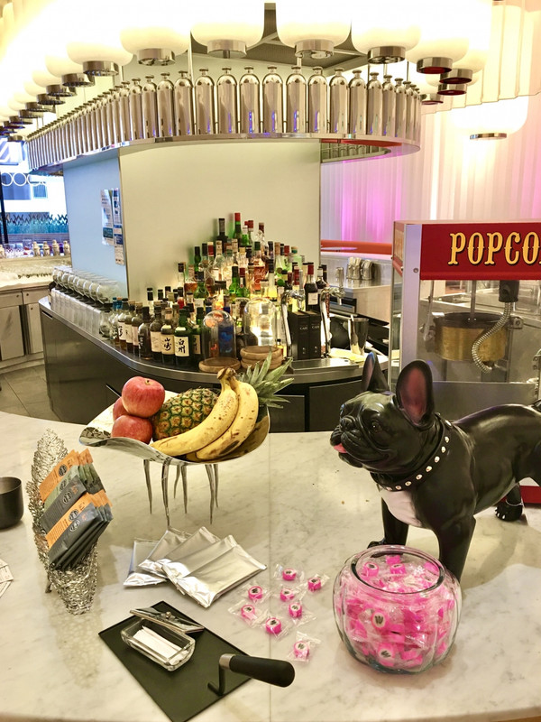 LIVING ROOM のバーカウンターと．KAREの犬