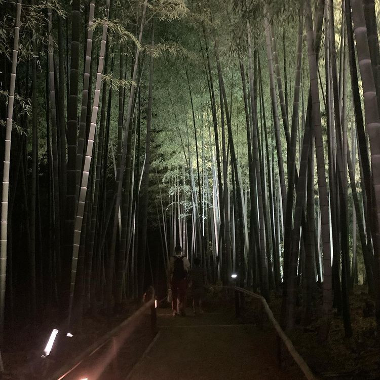 ririripkさんの写真 / 3