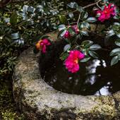 おおきに迎賓館 黒門中立賣邸（京都府 町家） / 2