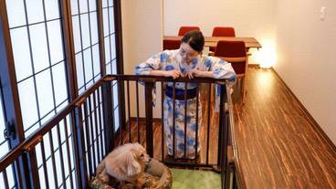 わんこルーム付和洋室② / 4