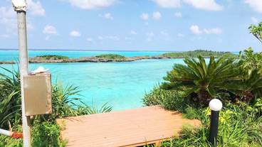 ビーチ / オーシャン ビュー / 5