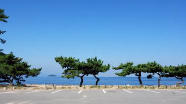 RV またはトラック用駐車場 / 6