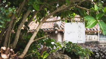 外観の詳細 / 11