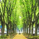 フォトジェニック旅に出掛けよう♪おすすめ6選【仙台編】