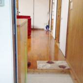 アザミ7（宮古島）（沖縄県 別荘・ヴィラ・コンドミニアム） / 5