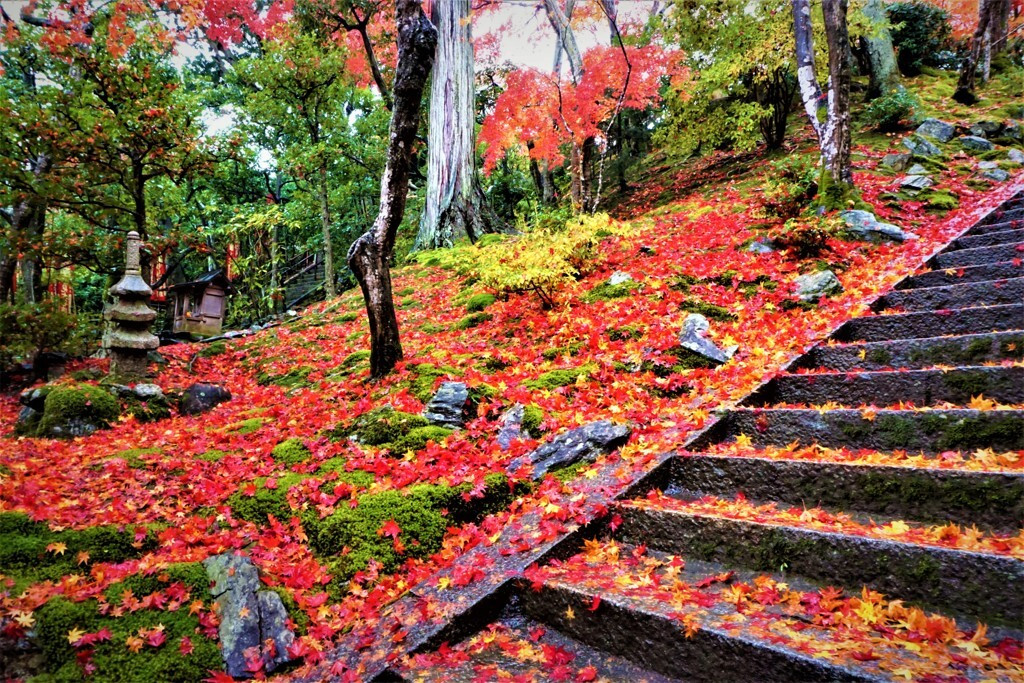 2.常寂光寺1962054