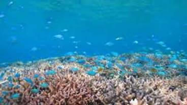 観光スポット / 5