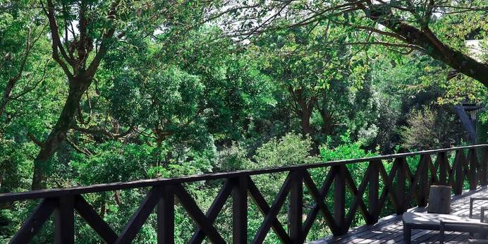 熱海 櫂雲（静岡県 旅館） / 1
