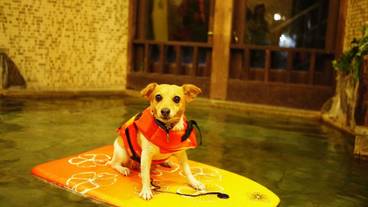 子供用スペース / 2