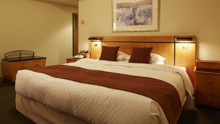 クレメント ダブル ルーム 禁煙 (32㎡)