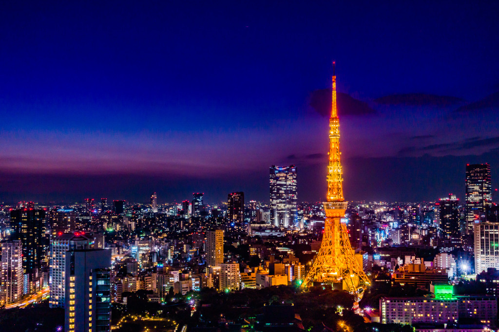 東京タワーを眺めながら贅沢なひと時を。425342