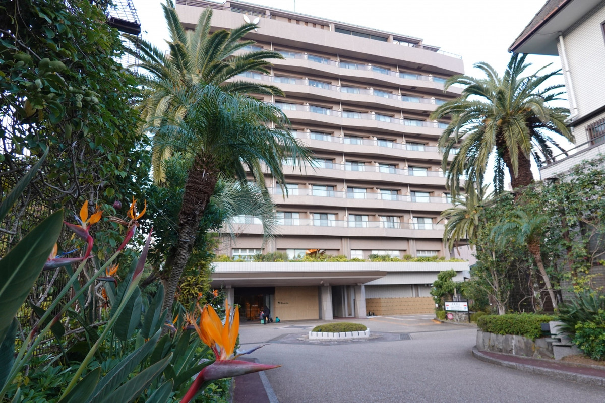 エントランス手前に咲く極楽鳥花(ストレリチア)