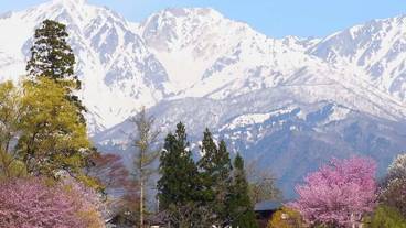 マウンテン ビュー / 10