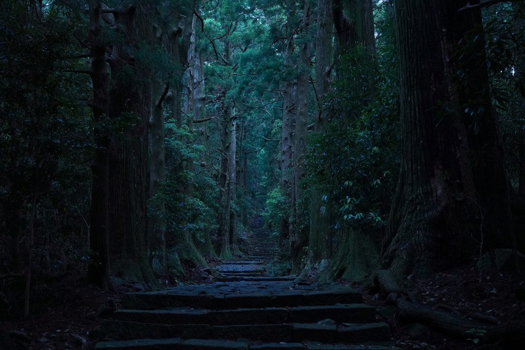 世界遺産「熊野古道」を歩こう3535942