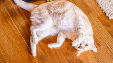 施設内の設備 / 24