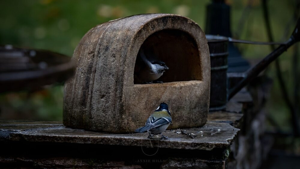 ガーデン ビュー
