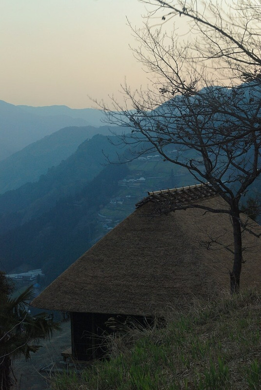 マウンテン ビュー