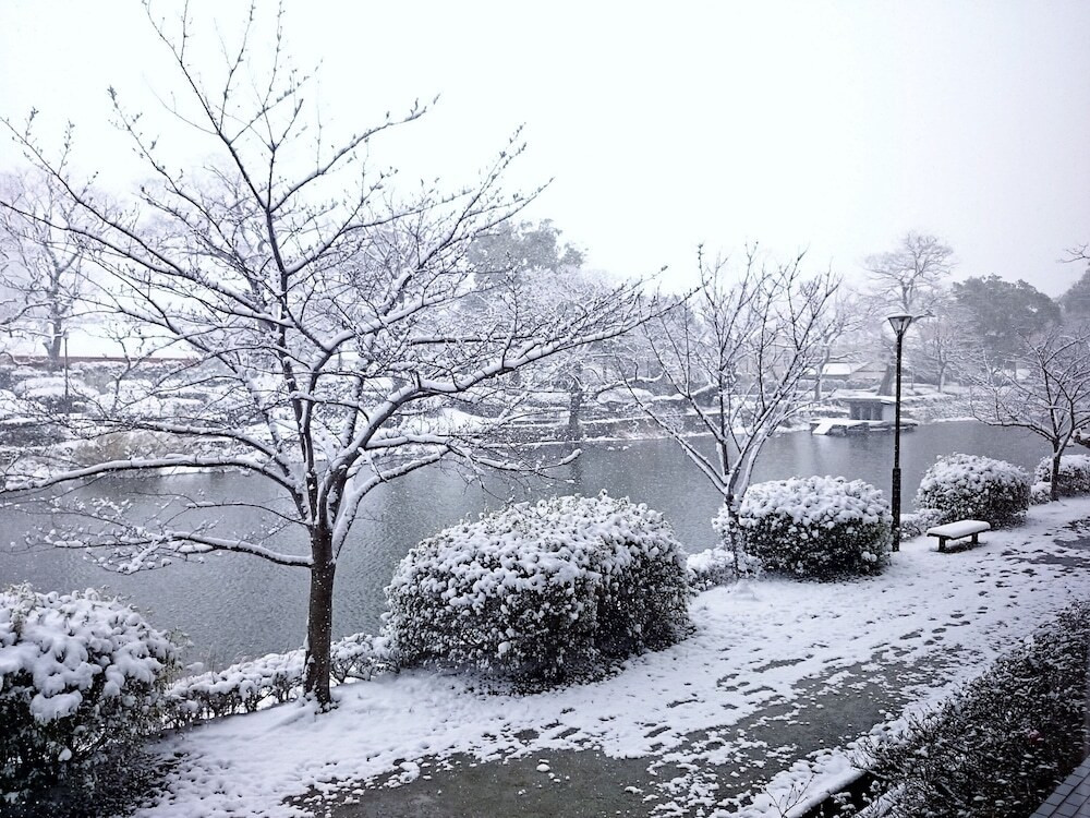 施設からの眺望