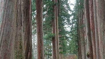 観光スポット / 9