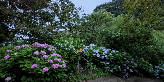 離れのやど 星ヶ山(神奈川県 旅館) / 1