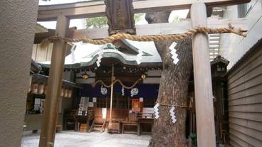 観光スポット / 18