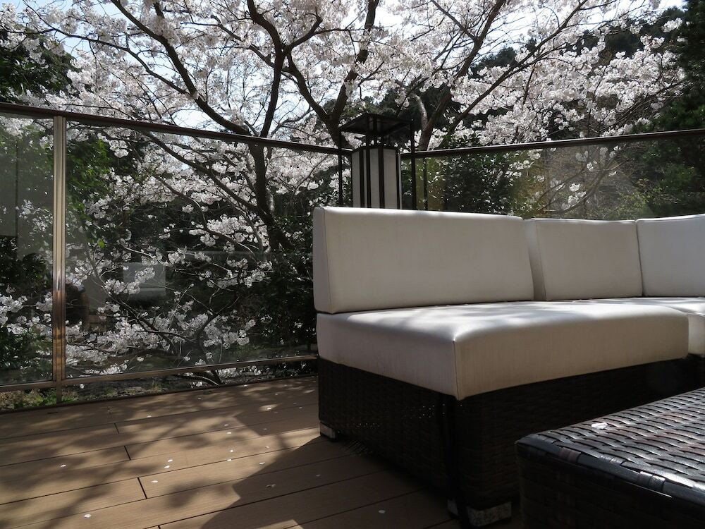 テラス / パティオ