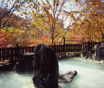 3. 松川温泉 峡雲荘（岩手県）4023670