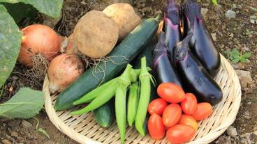 食事・飲み物 / 12