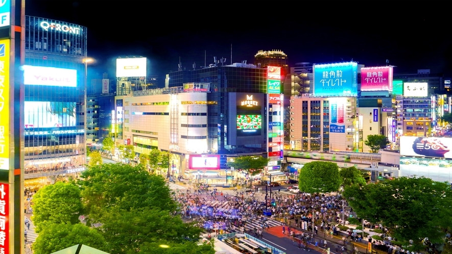 施設からの眺望一例①