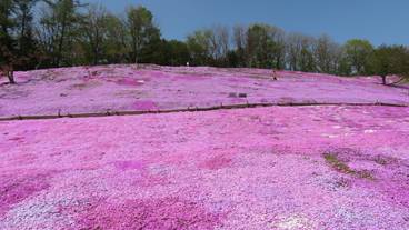 太陽の丘えんがる公園 / 1