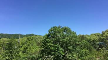 施設からの眺望 / 11