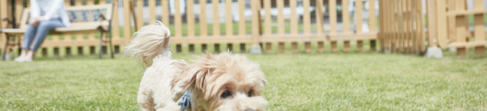 愛犬といっしょに那須旅行へ。ペットと同室宿泊OKのおすすめホテル＆旅館12選／栃木