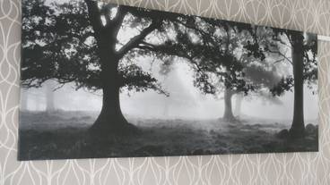 客室の設備とサービス / 13