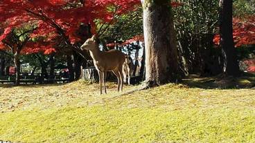 観光スポット / 7