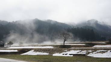 施設からの眺望 / 30