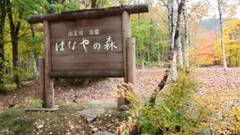 南玉川温泉 湯宿 はなやの森