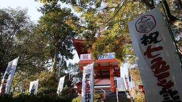 観光スポット / 11