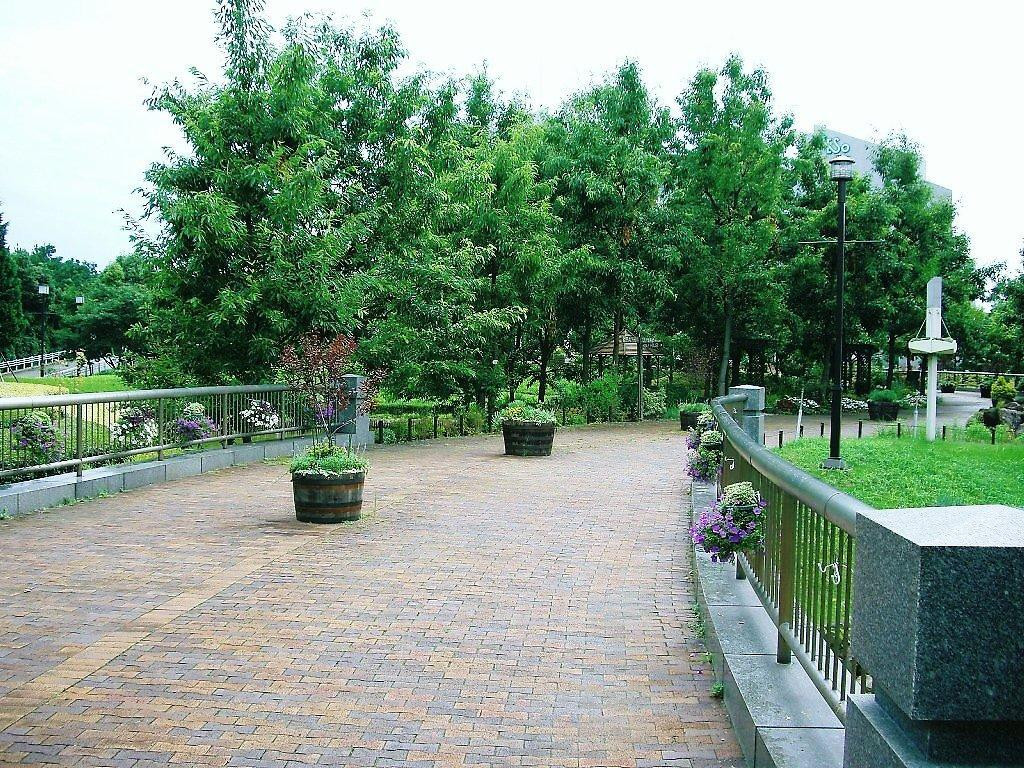 西宮の憩いの広場・鳴尾浜臨海公園717325
